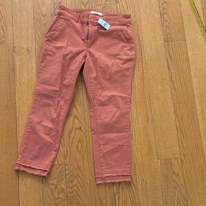 NWT LOFT Terracotta Cropped Pants